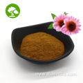 Factory Suuply Improve Immunity Echinacea Extract